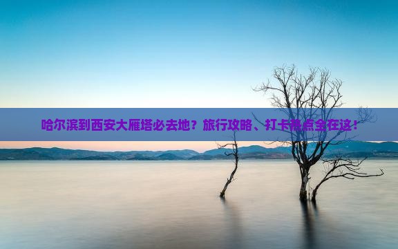 哈尔滨到西安大雁塔必去地？旅行攻略、打卡热点全在这！