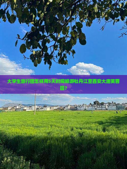大学生旅行团怎样用5天时间畅游牡丹江至西安大唐芙蓉园？