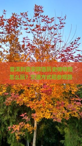 普洱到西安陕西历史博物馆怎么玩？交通方式和参观路线有哪些？