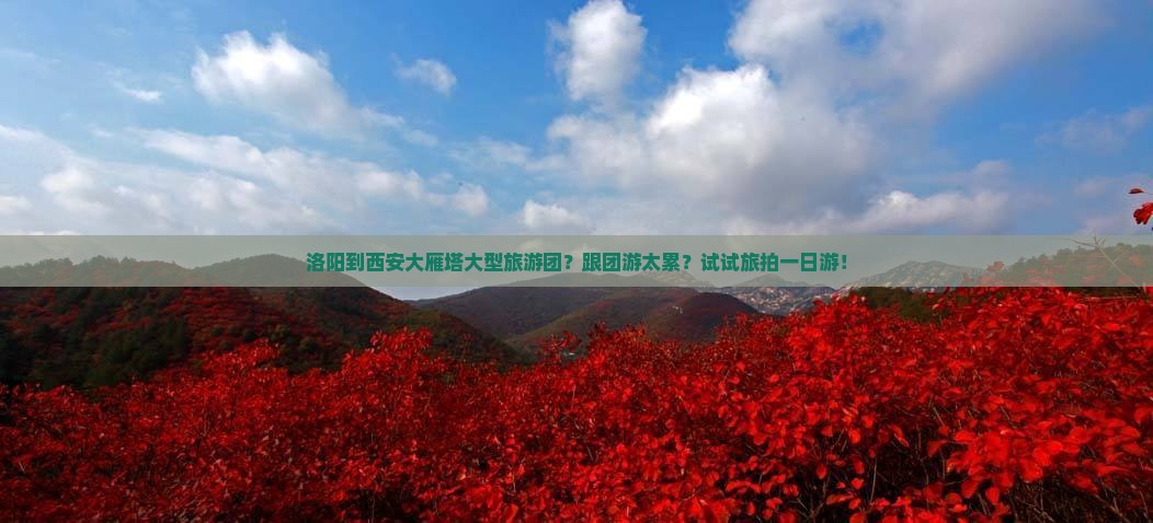 洛阳到西安大雁塔大型旅游团？跟团游太累？试试旅拍一日游！