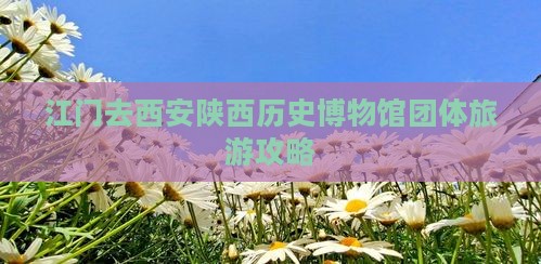 江门去西安陕西历史博物馆团体旅游攻略