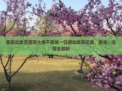 霍邱出发至西安大唐不夜城一日游攻略及交通、美食、住宿全解析