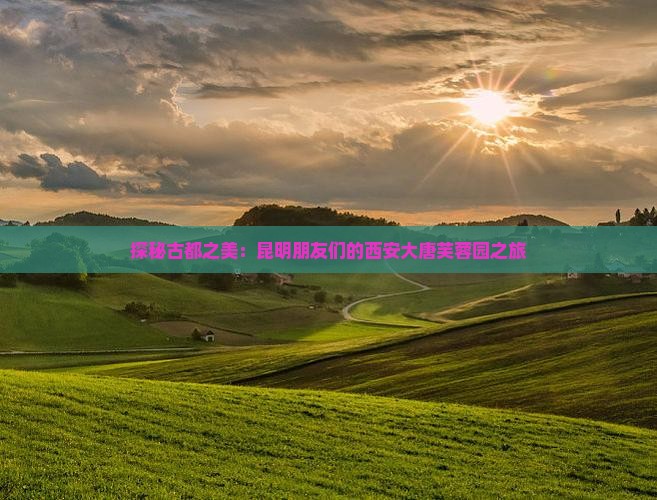 探秘古都之美：昆明朋友们的西安大唐芙蓉园之旅