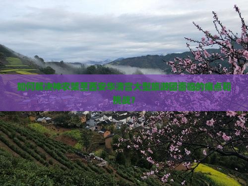 如何解决神农架至西安华清宫大型旅游团面临的痛点和挑战？
