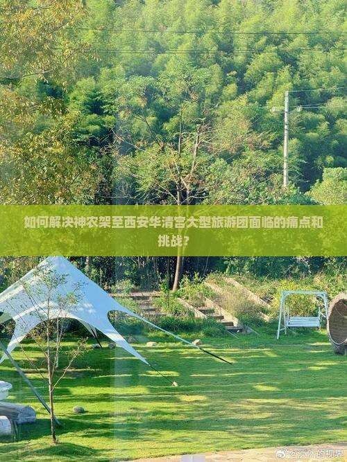 如何解决神农架至西安华清宫大型旅游团面临的痛点和挑战？