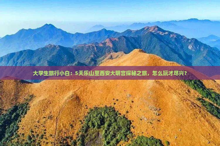 大学生旅行小白：5天乐山至西安大明宫探秘之旅，怎么玩才尽兴？