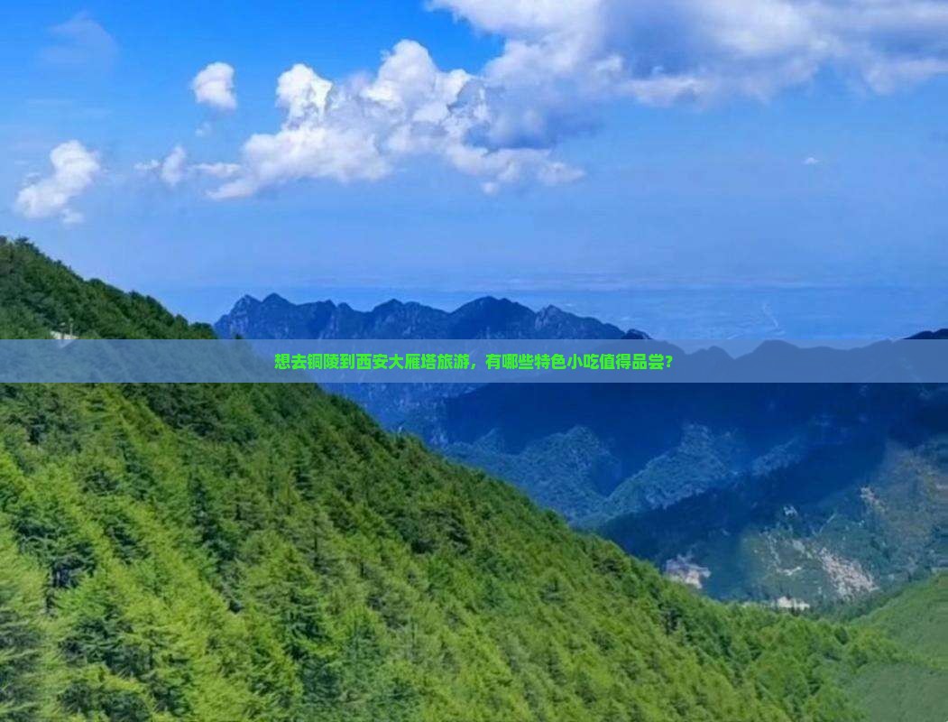 想去铜陵到西安大雁塔旅游，有哪些特色小吃值得品尝？