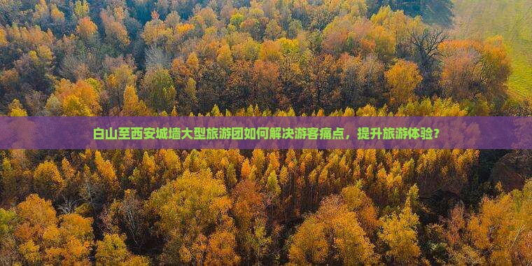 白山至西安城墙大型旅游团如何解决游客痛点，提升旅游体验？
