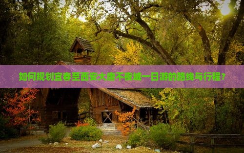 如何规划宜春至西安大唐不夜城一日游的路线与行程？