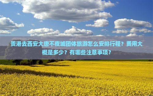 贵港去西安大唐不夜城团体旅游怎么安排行程？费用大概是多少？有哪些注意事项？