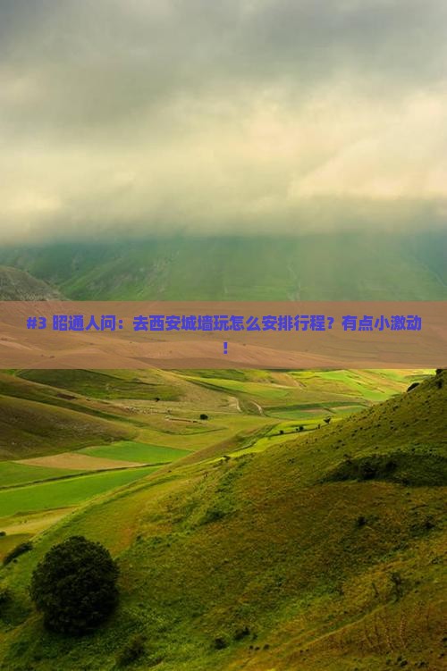 #3 昭通人问：去西安城墙玩怎么安排行程？有点小激动！