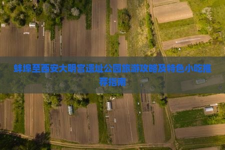 蚌埠至西安大明宫遗址公园旅游攻略及特色小吃推荐指南