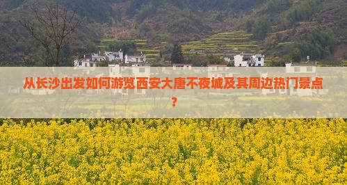 从长沙出发如何游览西安大唐不夜城及其周边热门景点？