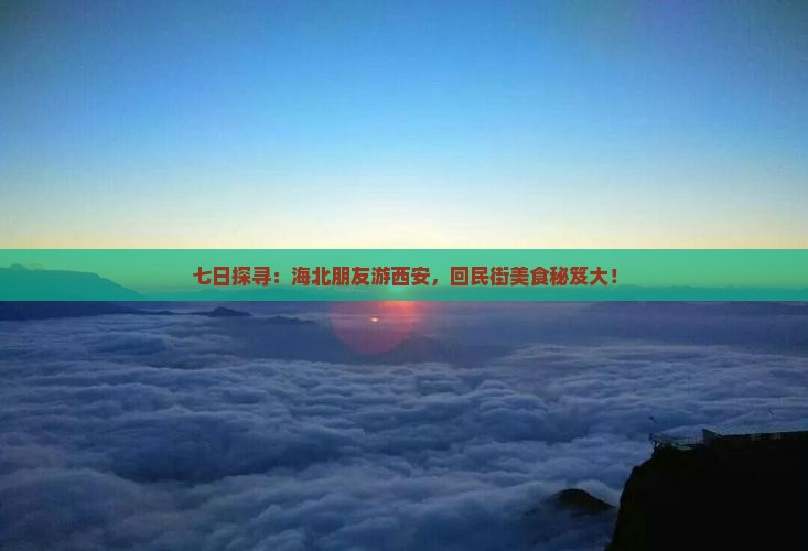 七日探寻：海北朋友游西安，回民街美食秘笈大！