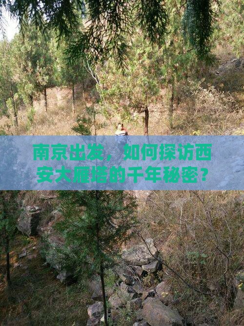 南京出发，如何探访西安大雁塔的千年秘密？