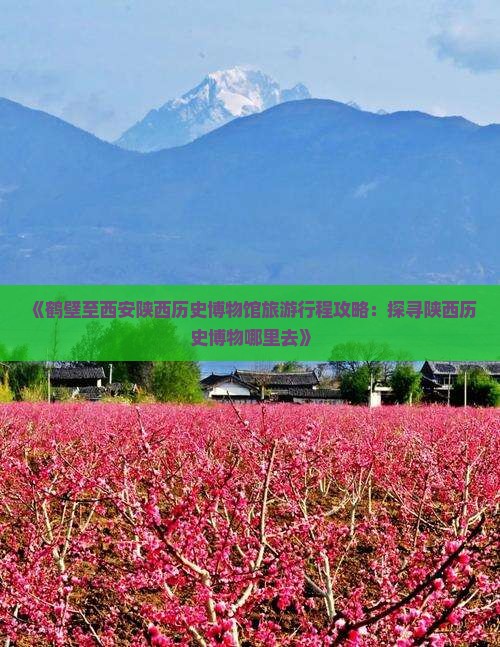 《鹤壁至西安陕西历史博物馆旅游行程攻略：探寻陕西历史博物哪里去》