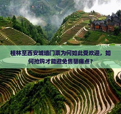 桂林至西安城墙门票为何如此受欢迎，如何抢购才能避免售罄痛点？