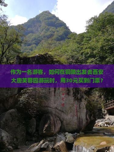 作为一名游客，如何在铜陵出发去西安大唐芙蓉园游玩时，用30元买到门票？
