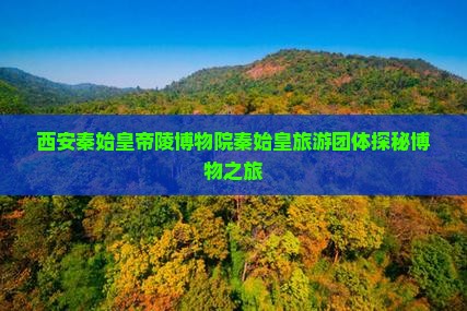 西安秦始皇帝陵博物院秦始皇旅游团体探秘博物之旅