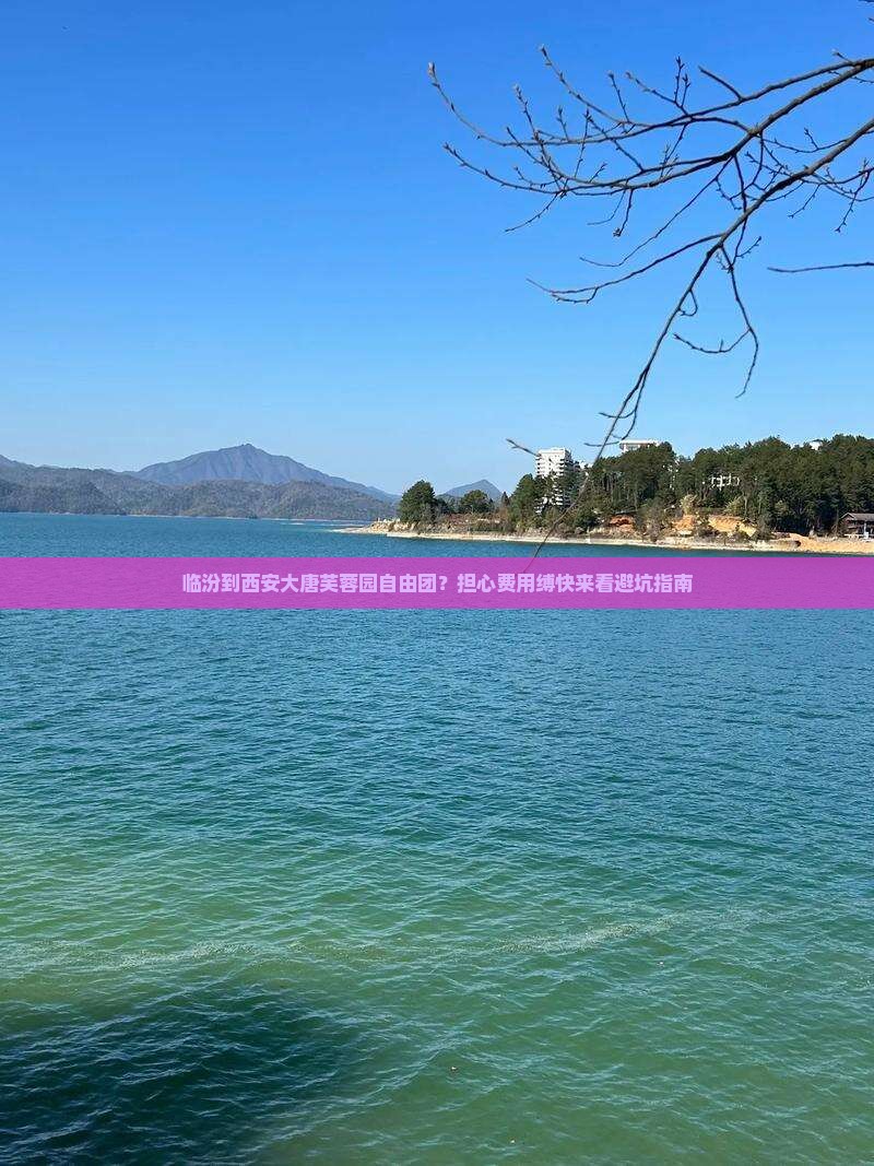 临汾到西安大唐芙蓉园自由团？担心费用缚快来看避坑指南