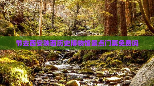 节去西安陕西历史博物馆景点门票免费吗
