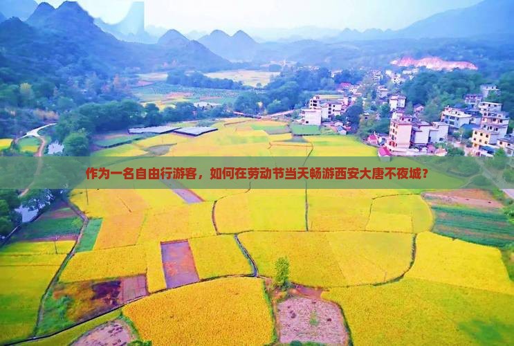 作为一名自由行游客，如何在劳动节当天畅游西安大唐不夜城？