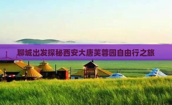 聊城出发探秘西安大唐芙蓉园自由行之旅