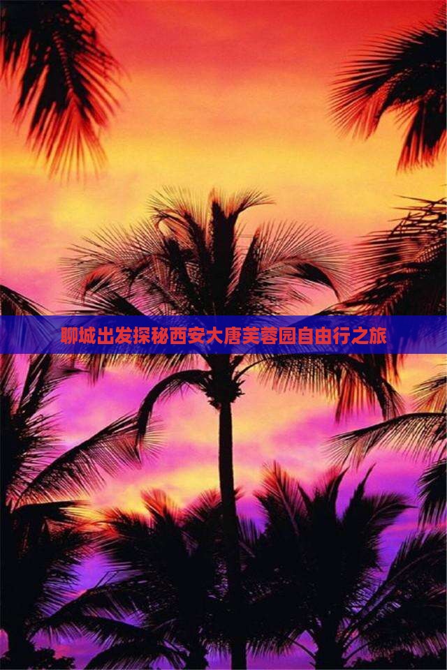 聊城出发探秘西安大唐芙蓉园自由行之旅