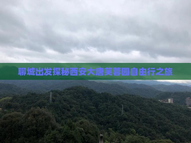 聊城出发探秘西安大唐芙蓉园自由行之旅