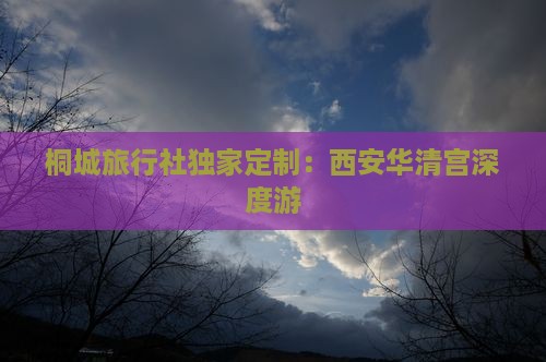 桐城旅行社独家定制：西安华清宫深度游