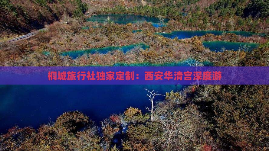 桐城旅行社独家定制：西安华清宫深度游