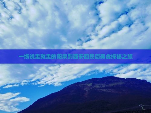 一场说走就走的阳泉到西安回民街美食探秘之旅