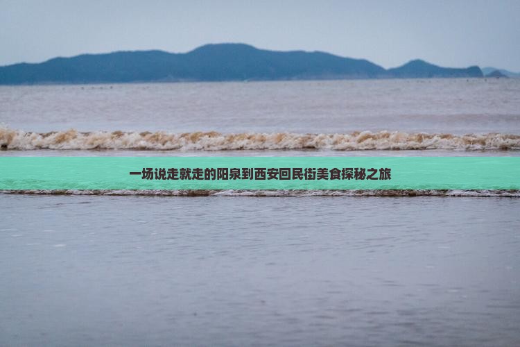 一场说走就走的阳泉到西安回民街美食探秘之旅