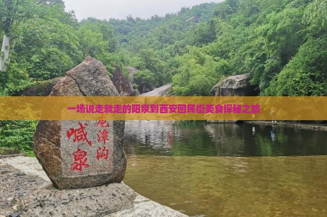 一场说走就走的阳泉到西安回民街美食探秘之旅