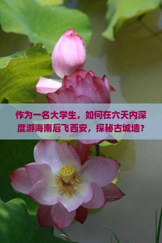 作为一名大学生，如何在六天内深度游海南后飞西安，探秘古城墙？