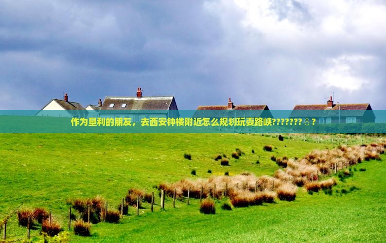 作为垦利的朋友，去西安钟楼附近怎么规划玩耍路峡???????♂?