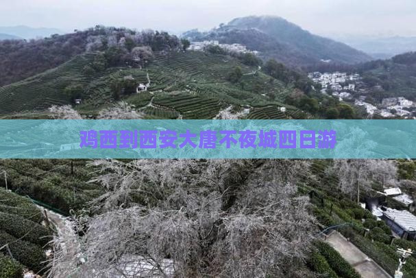 鸡西到西安大唐不夜城四日游