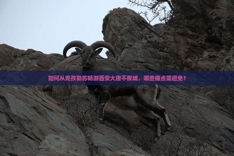 如何从克孜勒苏畅游西安大唐不夜城，哪些痛点需避免？