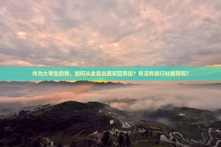 作为大学生的我,如何从金昌去西安回民街?有没有旅行社推荐啊? 作为大学生的我,如何从金昌去西安回民街?有没有旅行社推荐啊?