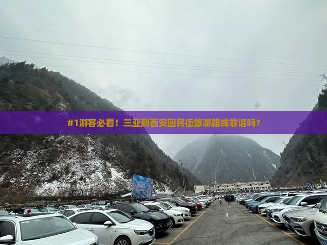#1游客必看!三亚到西安回民街旅游路线靠谱吗? #1游客必看!三亚到西安回民街旅游路线靠谱吗?