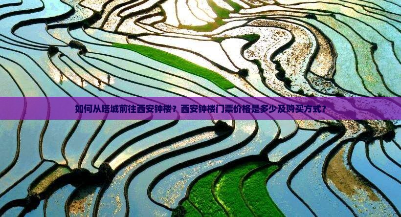 如何从塔城前往西安钟楼?西安钟楼门票价格是多少及购买方式? 如何从塔城前往西安钟楼?西安钟楼门票价格是多少及购买方式?