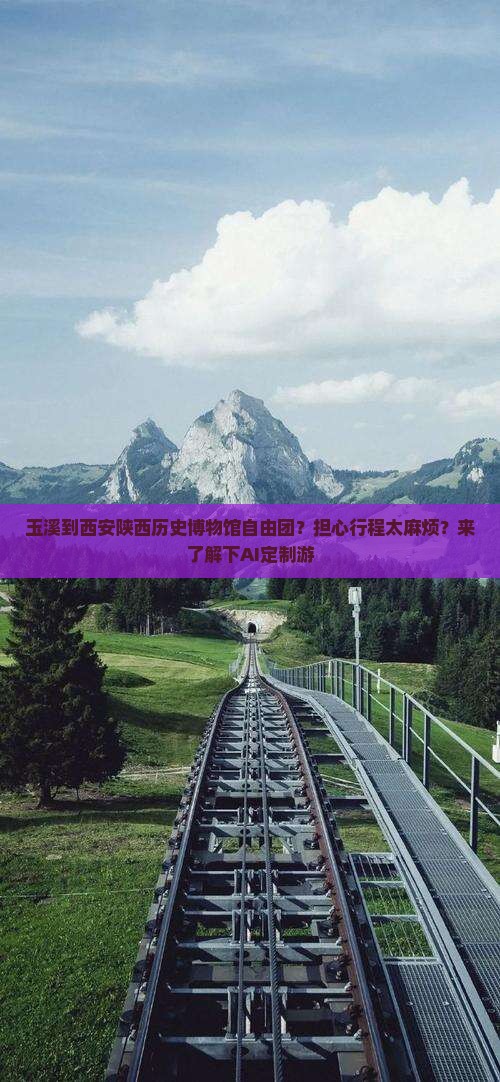 玉溪到西安陕西历史博物馆自由团？担心行程太麻烦？来了解下AI定制游