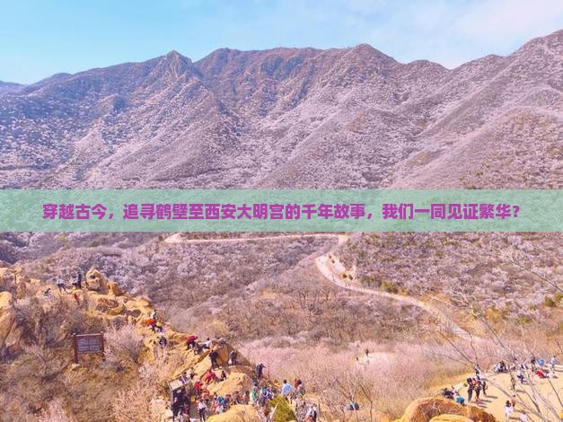 穿越古今,追寻鹤壁至西安大明宫的千年故事,我们一同见证繁华? 穿越古今,追寻鹤壁至西安大明宫的千年故事,我们一同见证繁华?
