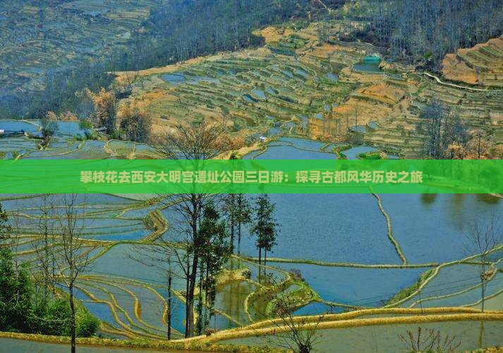 攀枝花去西安大明宫遗址公园三日游：探寻古都风华历史之旅
