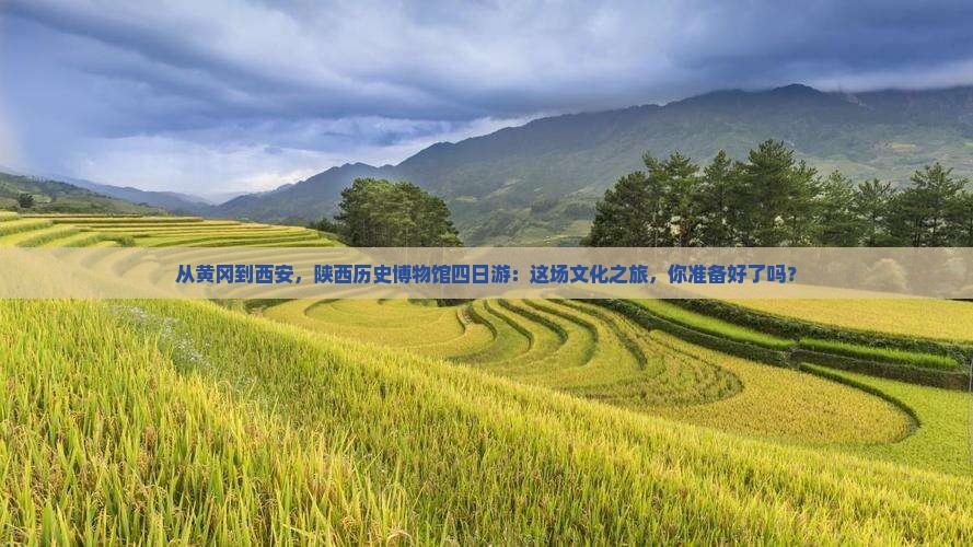 从黄冈到西安，陕西历史博物馆四日游：这场文化之旅，你准备好了吗？