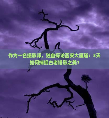 作为一名摄影师，独自探访西安大雁塔：3天如何捕捉古老塔影之美？