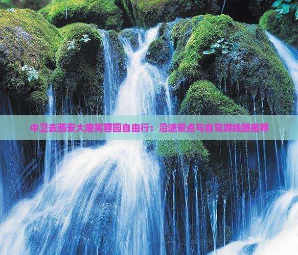 中卫去西安大唐芙蓉园自由行：沿途景点与自驾游线路推荐