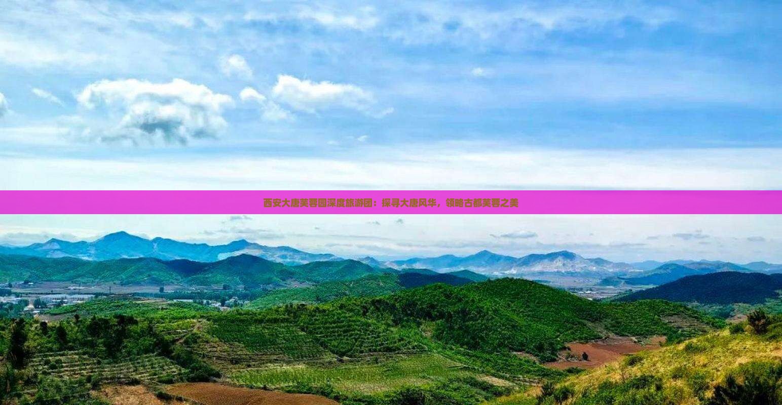 西安大唐芙蓉园深度旅游团：探寻大唐风华，领略古都芙蓉之美