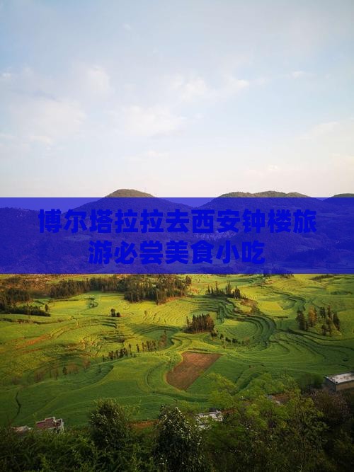 博尔塔拉拉去西安钟楼旅游必尝美食小吃