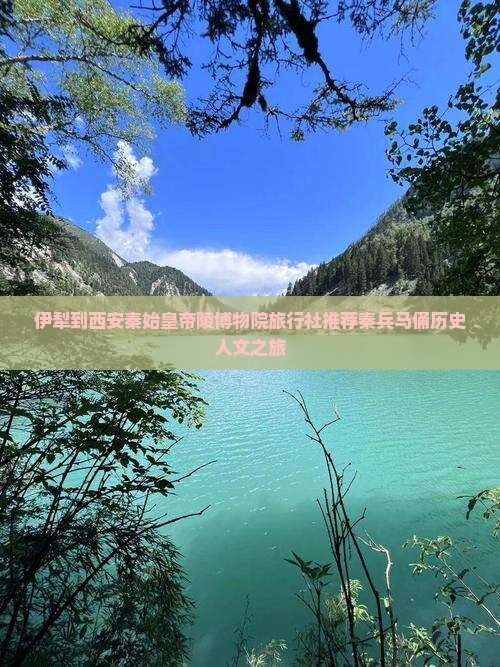 伊犁到西安秦始皇帝陵博物院旅行社推荐秦兵马俑历史人文之旅